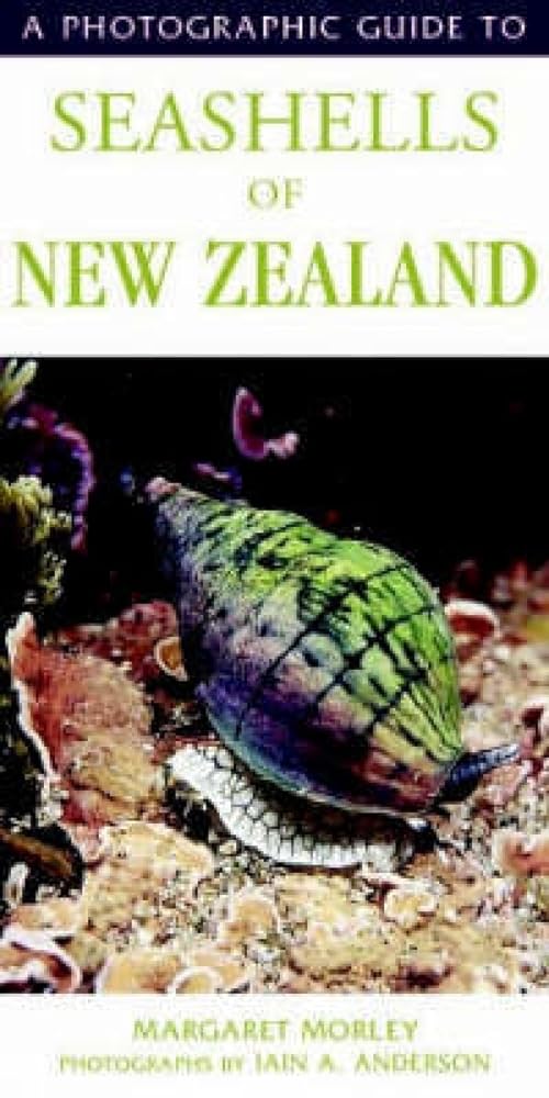 A Photographic Guide to Seashells of New Zealand cover image