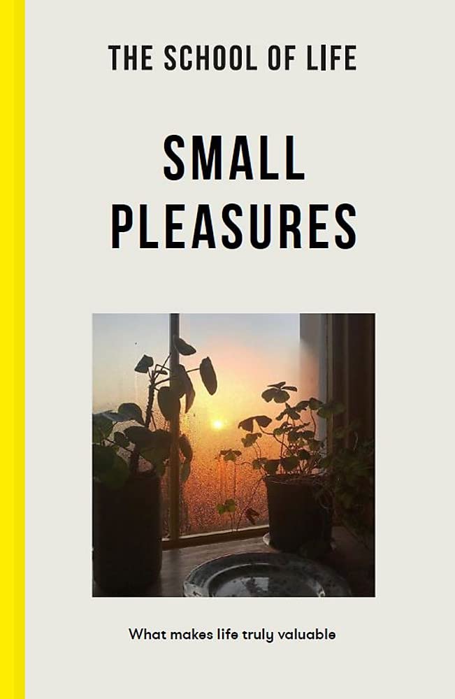 Small Pleasures cover image