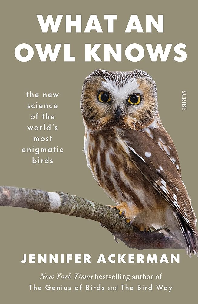 What an Owl Knows The New Science of the cover image
