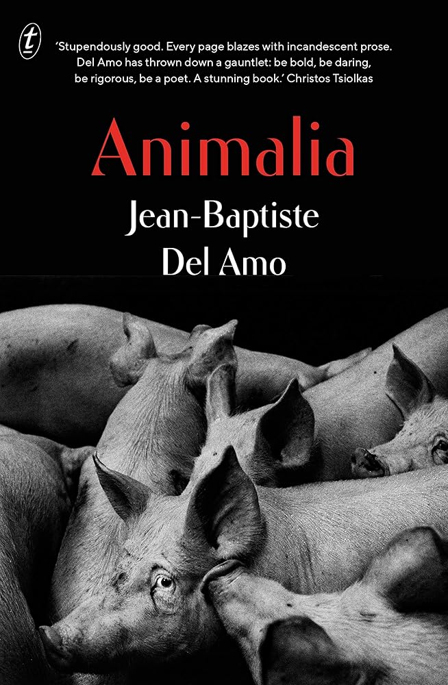 Animalia cover image