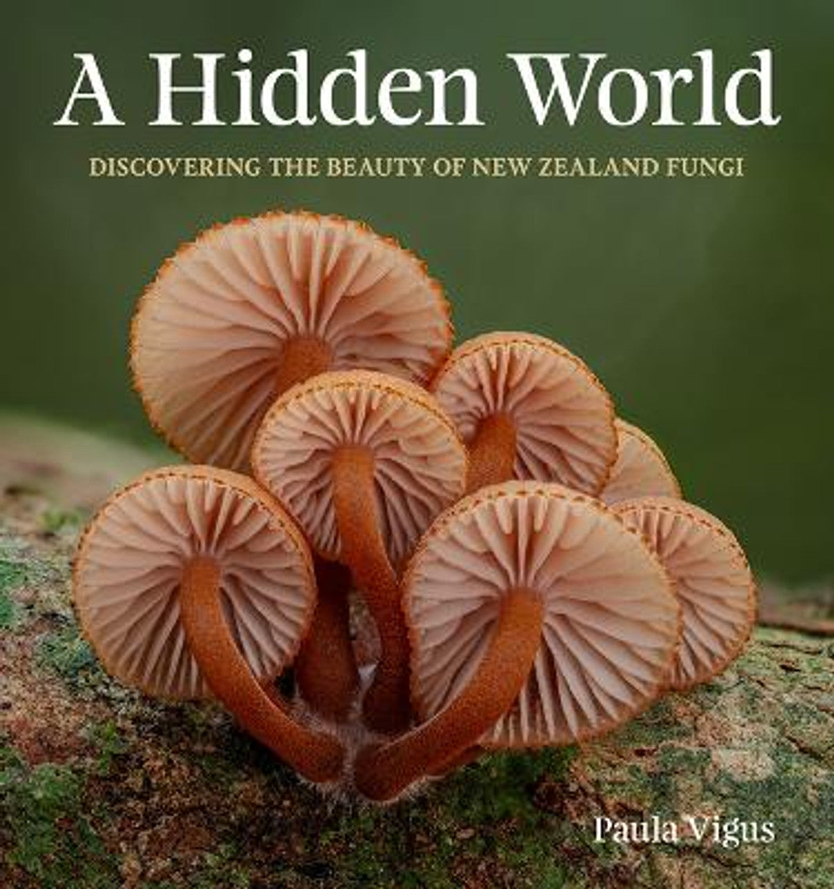 A Hidden World: Discovering the beauty of New Zealand fungi cover image