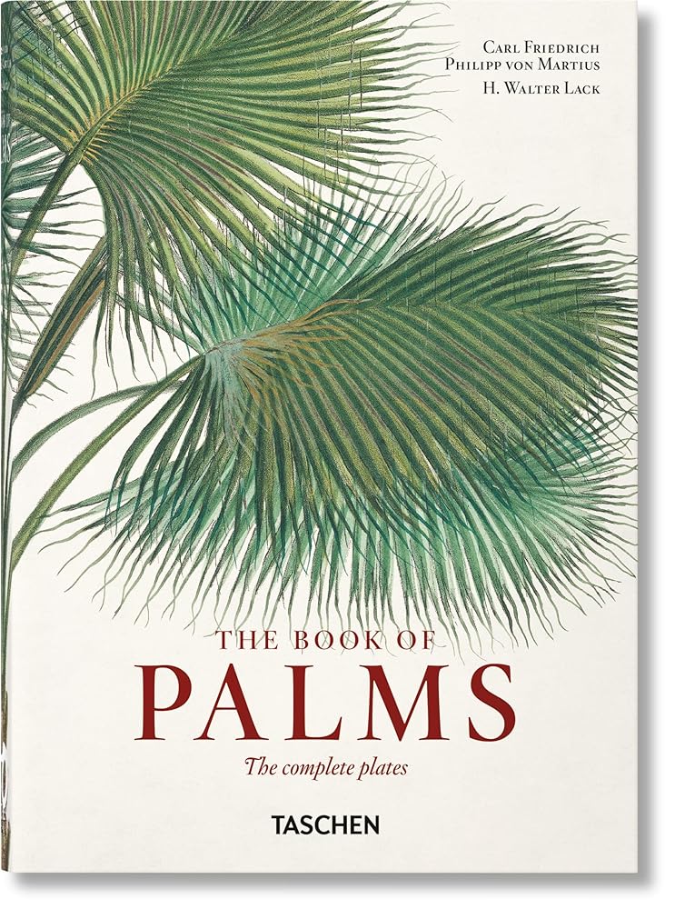 The Book of Palms cover image