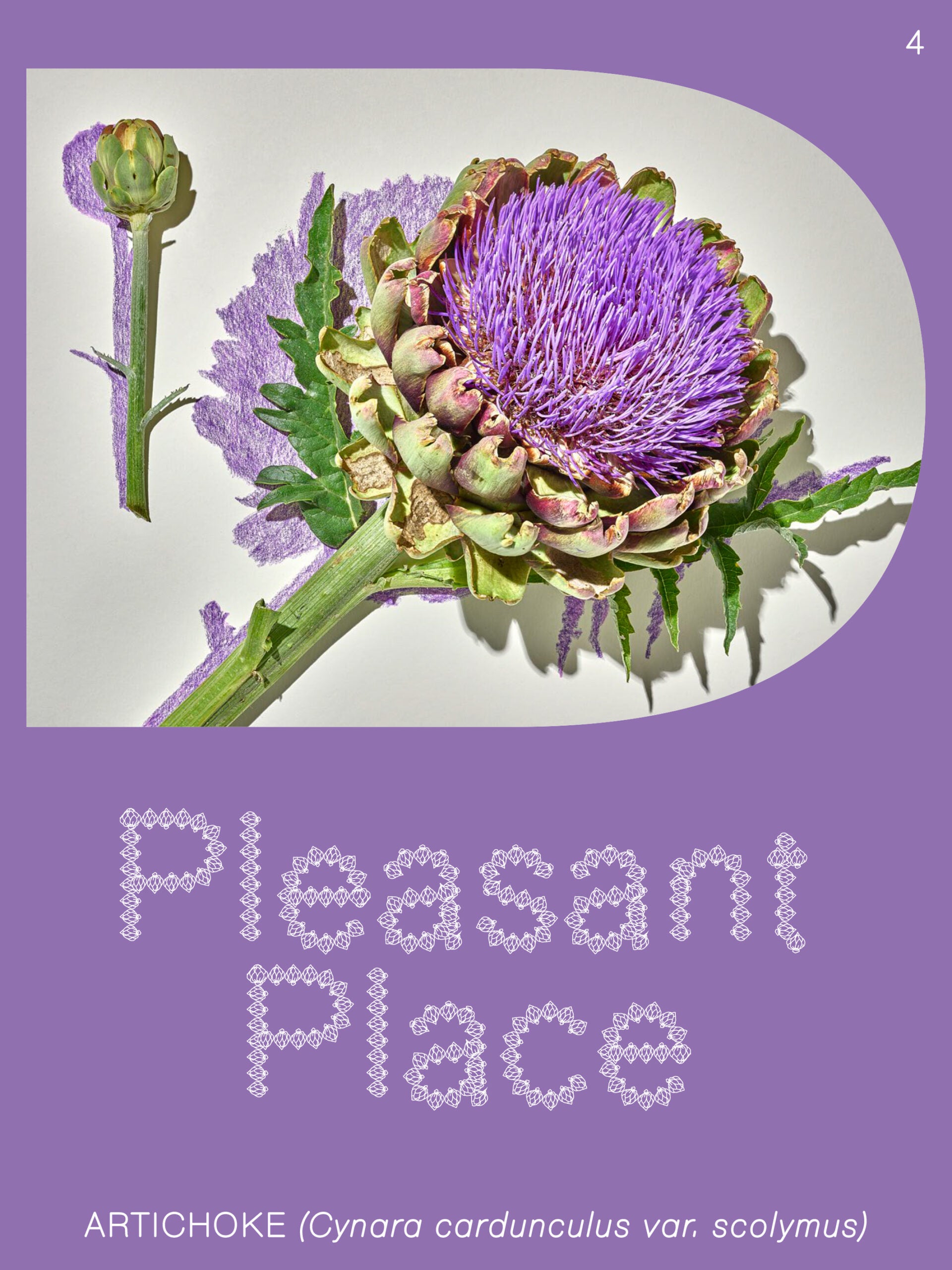 Pleasant Place #4 Artichoke cover image
