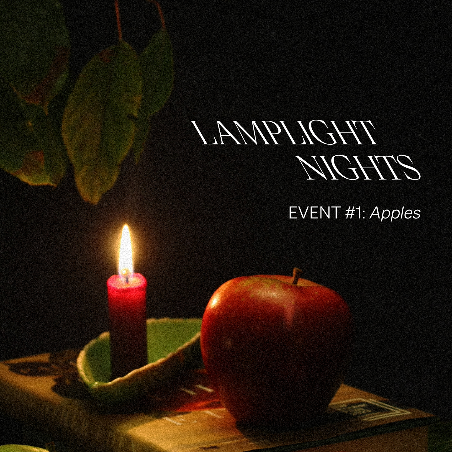 Lamplight Nights: #1 Apples cover image
