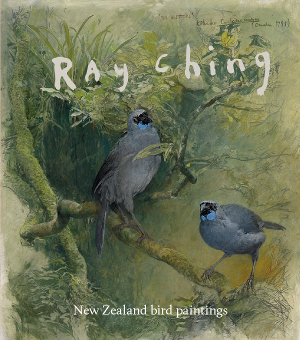 Ray Ching New Zealand Bird Paintings cover image