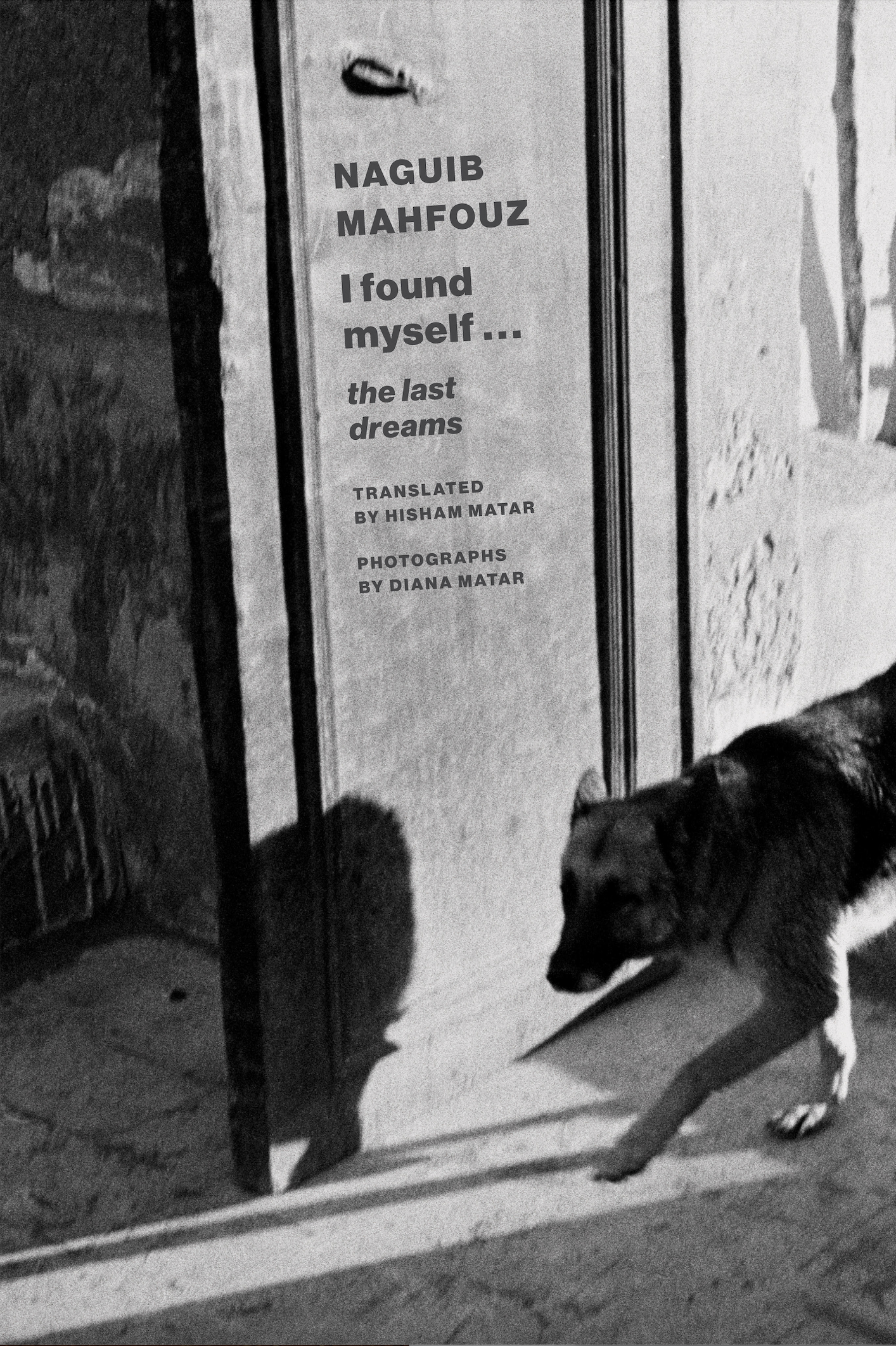 I Found Myself: Last Dreams cover image