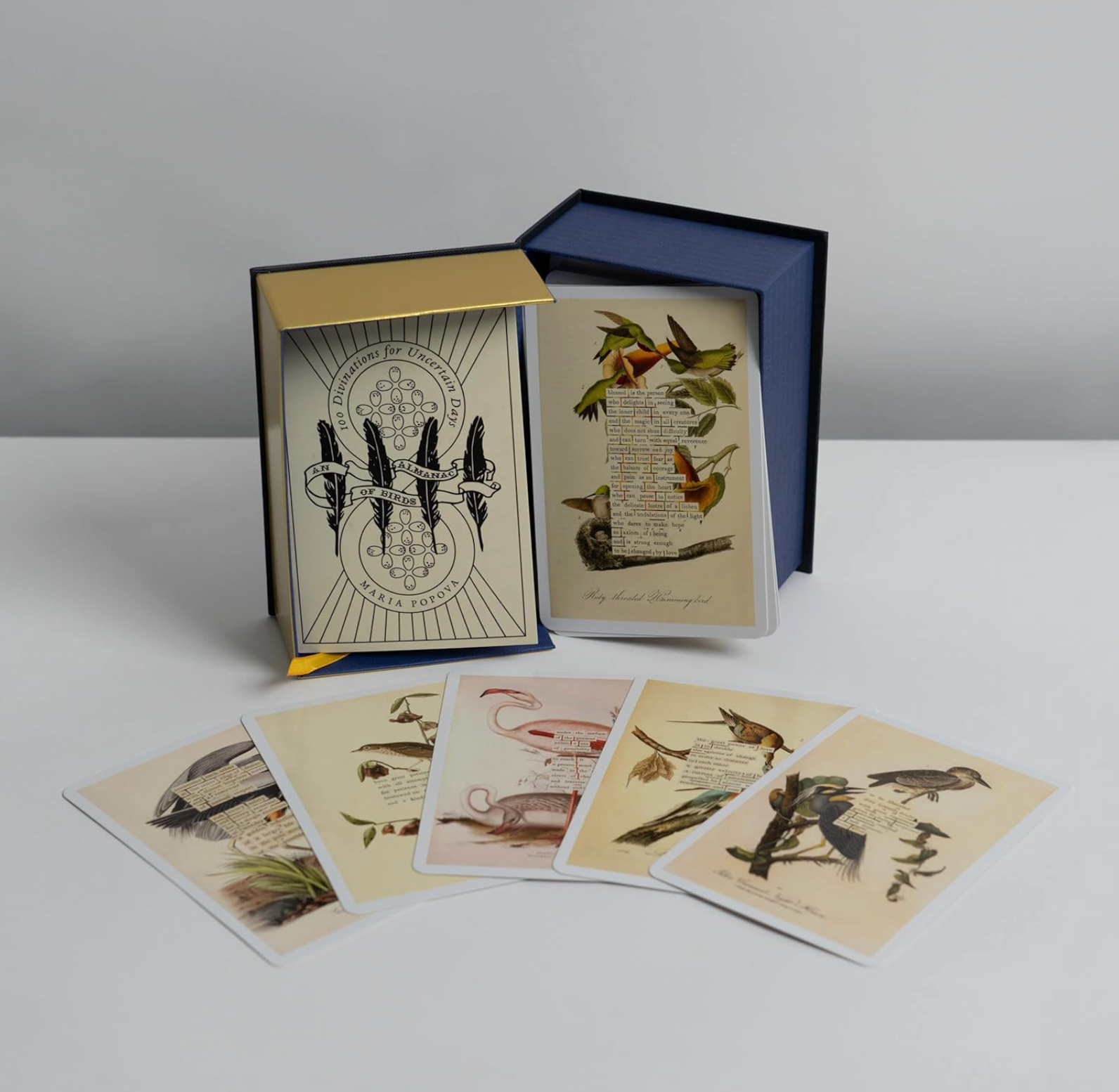 An Almanac of Birds: 100 Divinations for Uncertain Days