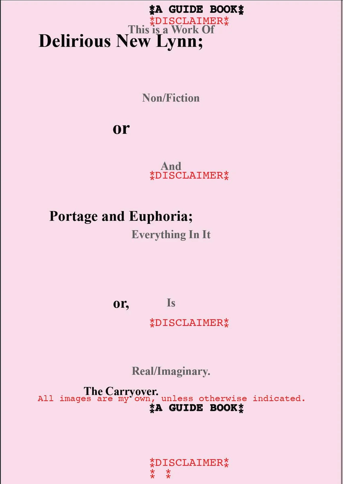 Delirious New Lynn cover image