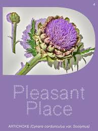 Pleasant Place #4 Artichoke cover image